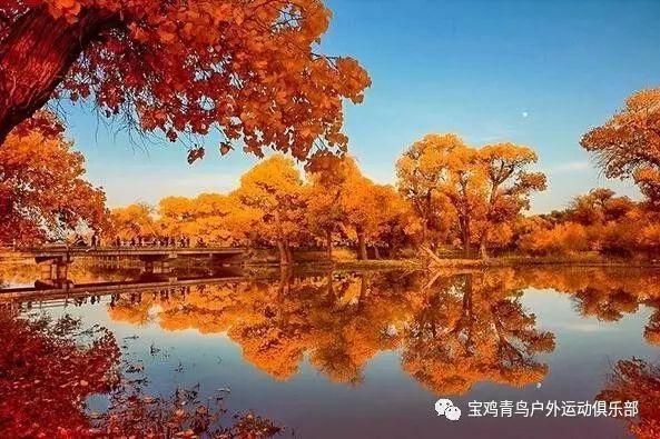 杭州赫政工业弹簧减振器