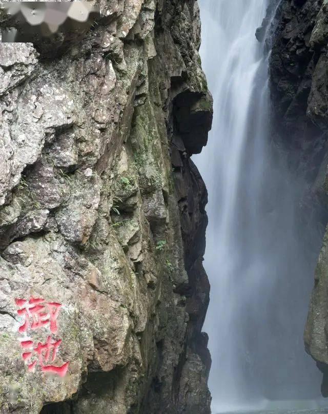相互吞噬选关版