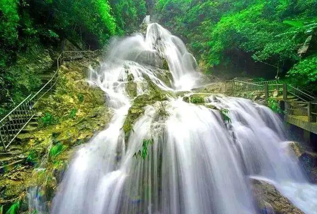 企鹅回城5之飞渡横木