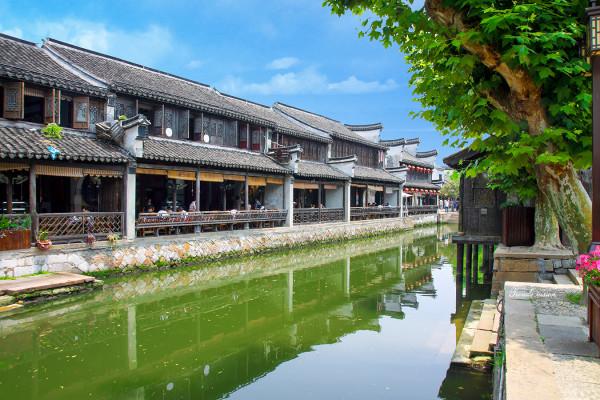 逃离龙的圣地
