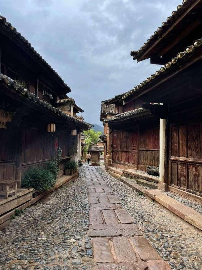大鹰森林逃生